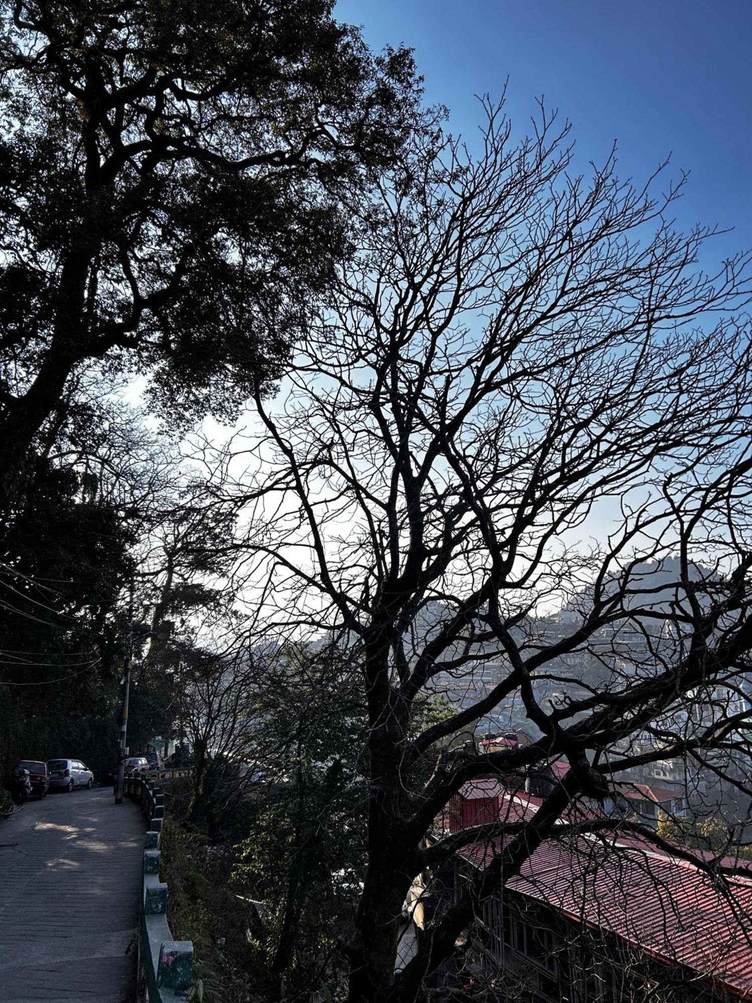 Super Hotel By Perfectstayz Mall Road Mussoorie Exterior photo